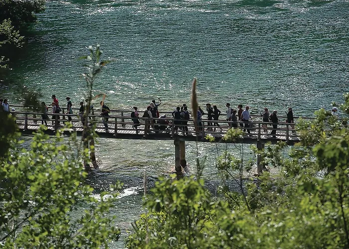 With Outdoor Swimming Pool 441 בית נופש